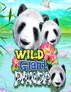 เคล็ดลับการทดลอง เล่น pgslot ที่คุณควรรู้